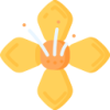 ky开云 logo